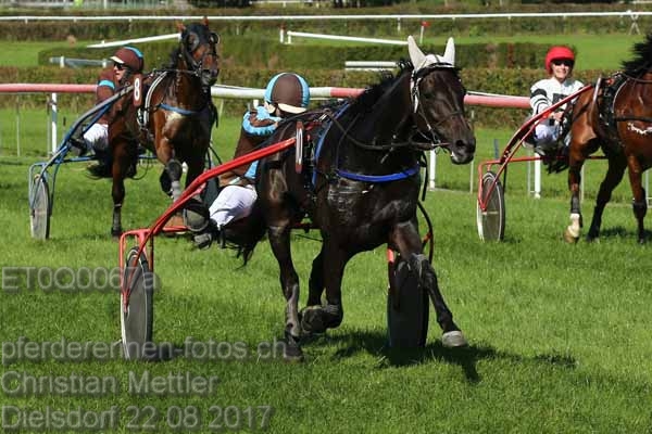 ET0Q0067a prot
